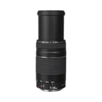 Canon EF 75-300mm f/4-5.6 III Lens