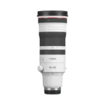 Canon RF 100-300mm f/2.8 L IS USM Lens