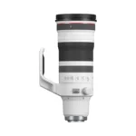 Canon RF 100-300mm f/2.8 L IS USM Lens